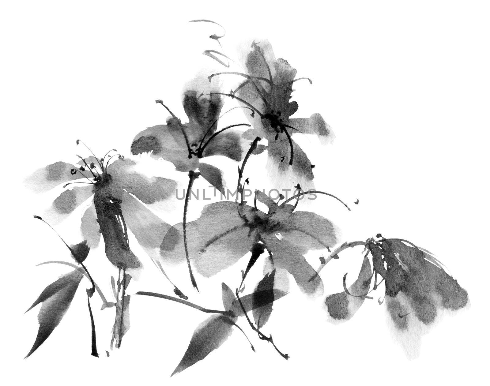 Ink painting of flowers - bouquet of flowers and leaves on white background. Oriental traditional painting in style sumi-e.
