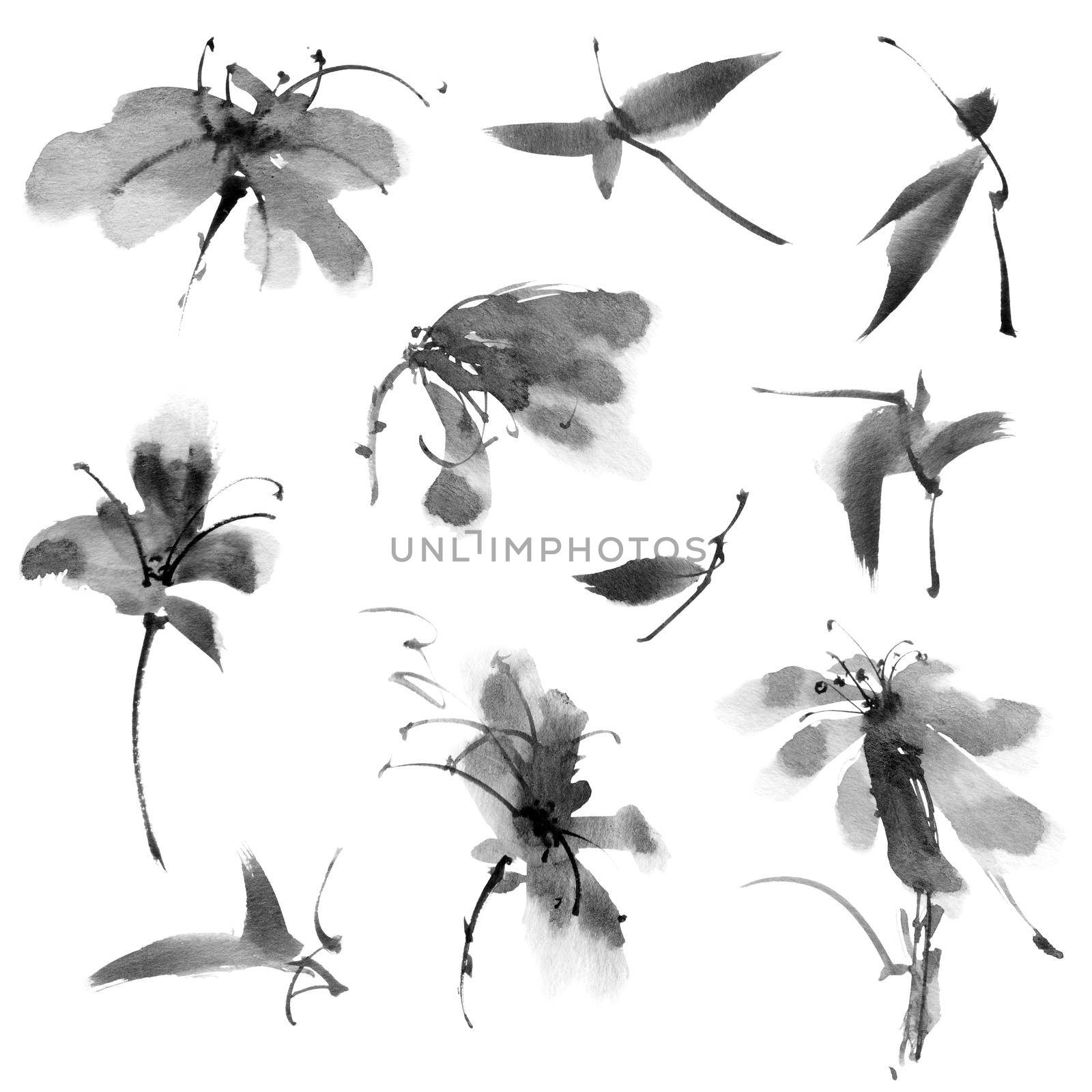 Ink painting of flowers - set of flowers and leaves on white background. Oriental traditional painting in style sumi-e.
