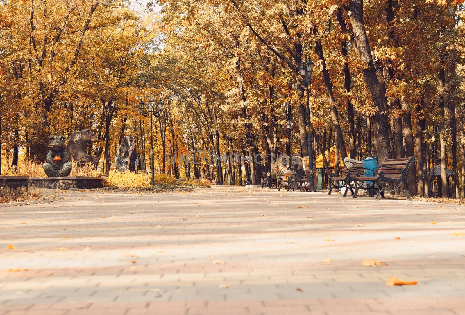 Autumn sunny landscape. Road in the park with benches. Autumn park of trees and fallen autumn leaves on the ground in the park on a sunny October day.template for design.