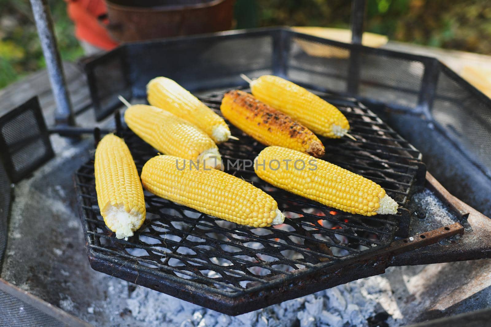 Grilled corns on the hot stove. Barbecue bbq by Godi