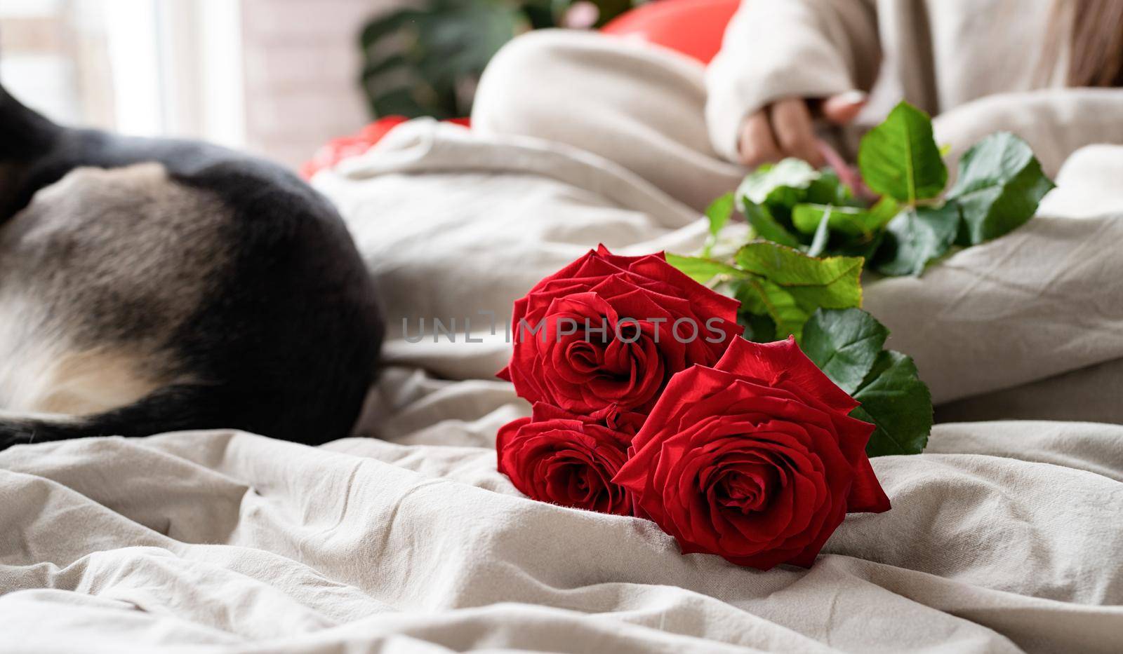 Valentine's day, Women's day. Young caucasian brunette woman sitting in the bed celebrating valentine day smelling red roses