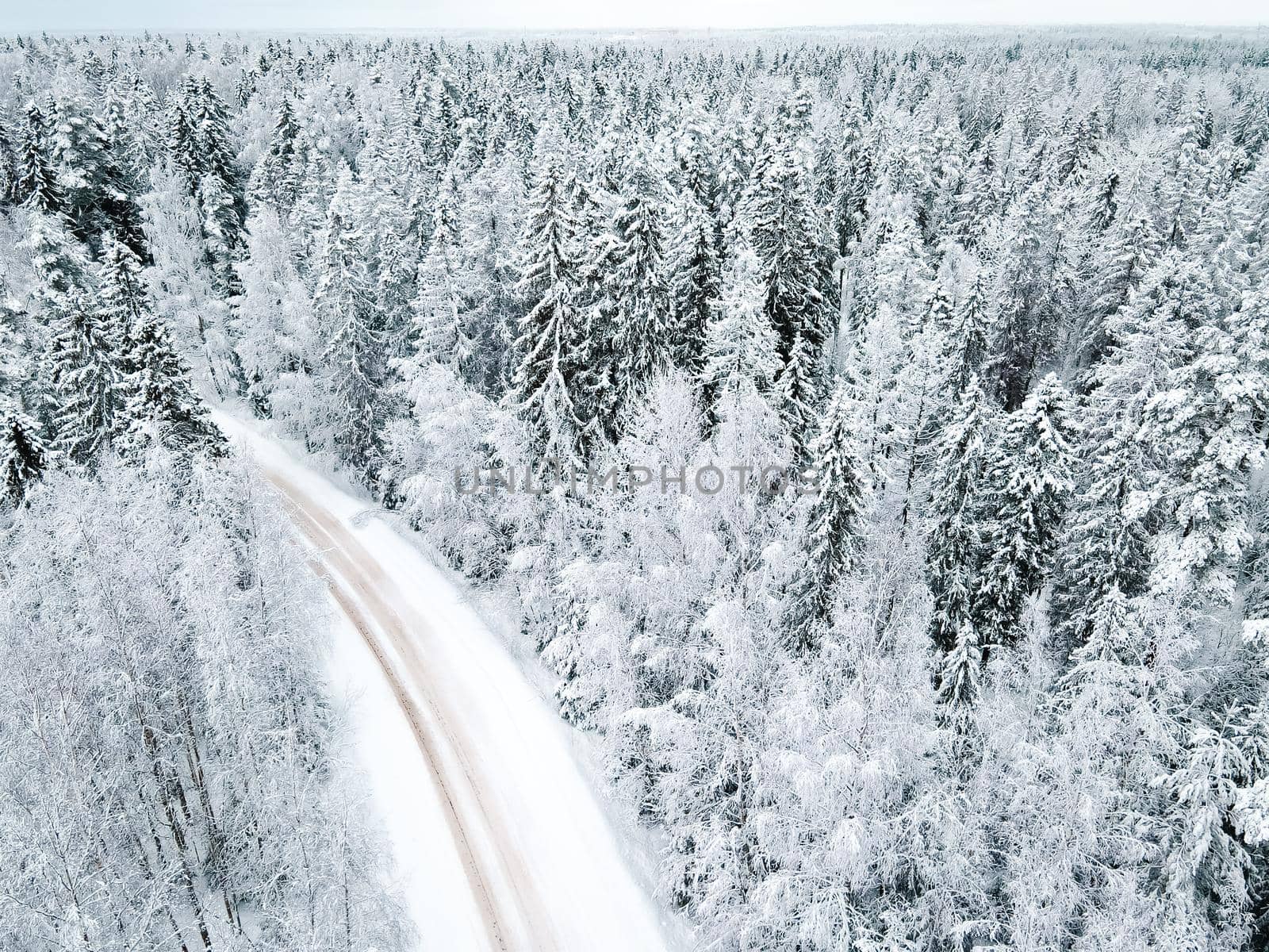 Winter snow-covered road top view . Winter landscape. Winter background. Snow-covered Christmas trees. Natural background