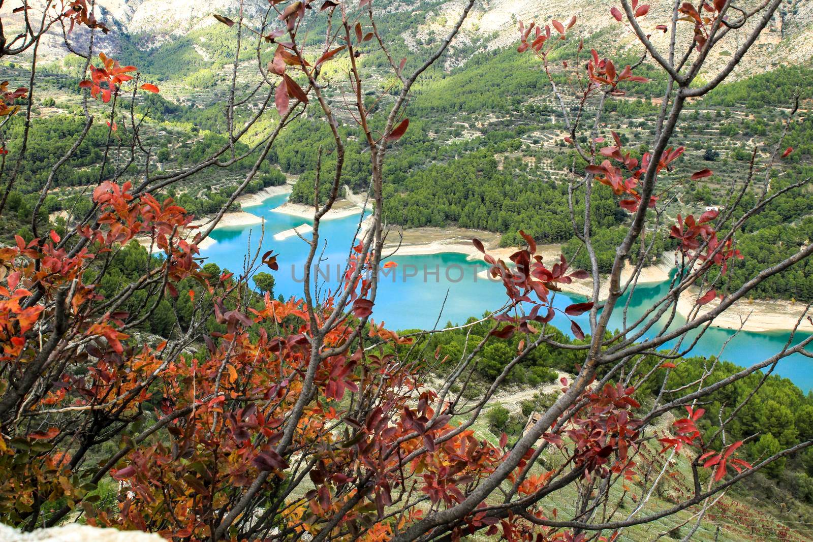 The swamp of Guadalest village surrounded by vegetation and mountains on a sunny day