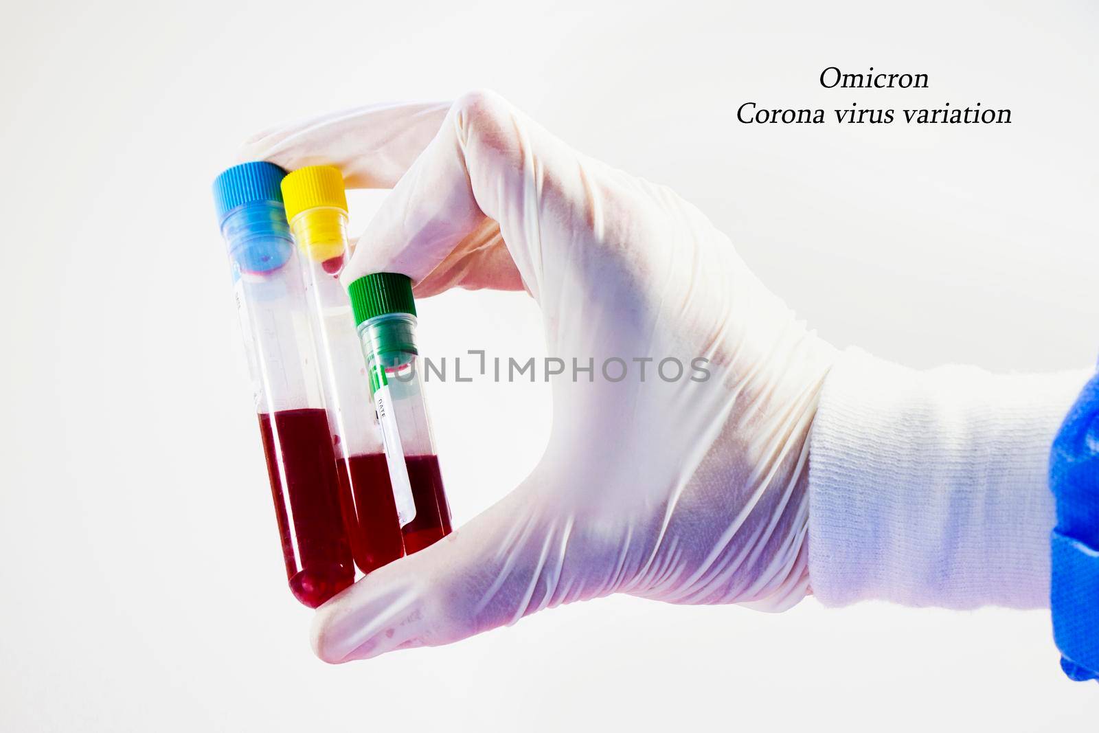 Omicron, corona virus variation. Blood test full tubes in hand, holding tubes