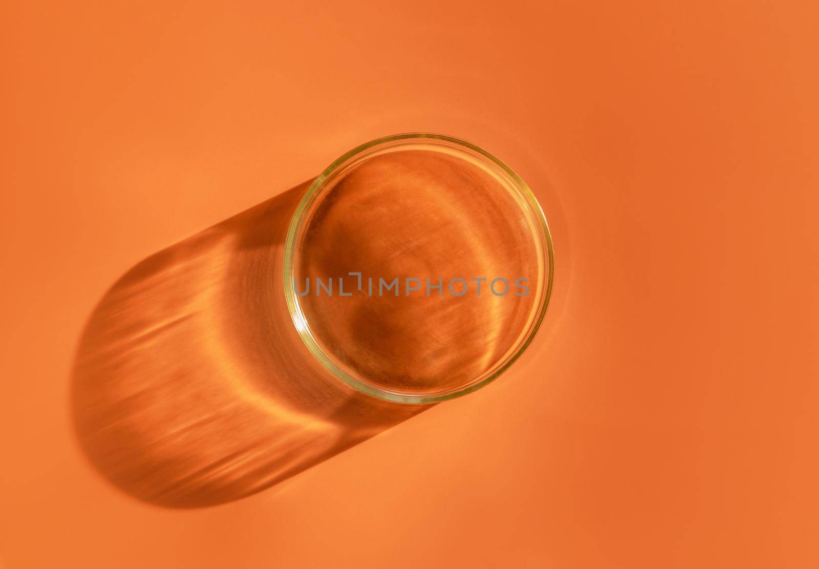 Empty laboratory glass petri for serum, oil, beauty products on orange background. Natural medicine, cosmetic research, bio science. Concept of skincare and analysis. Dermatology. Flat lay, top view