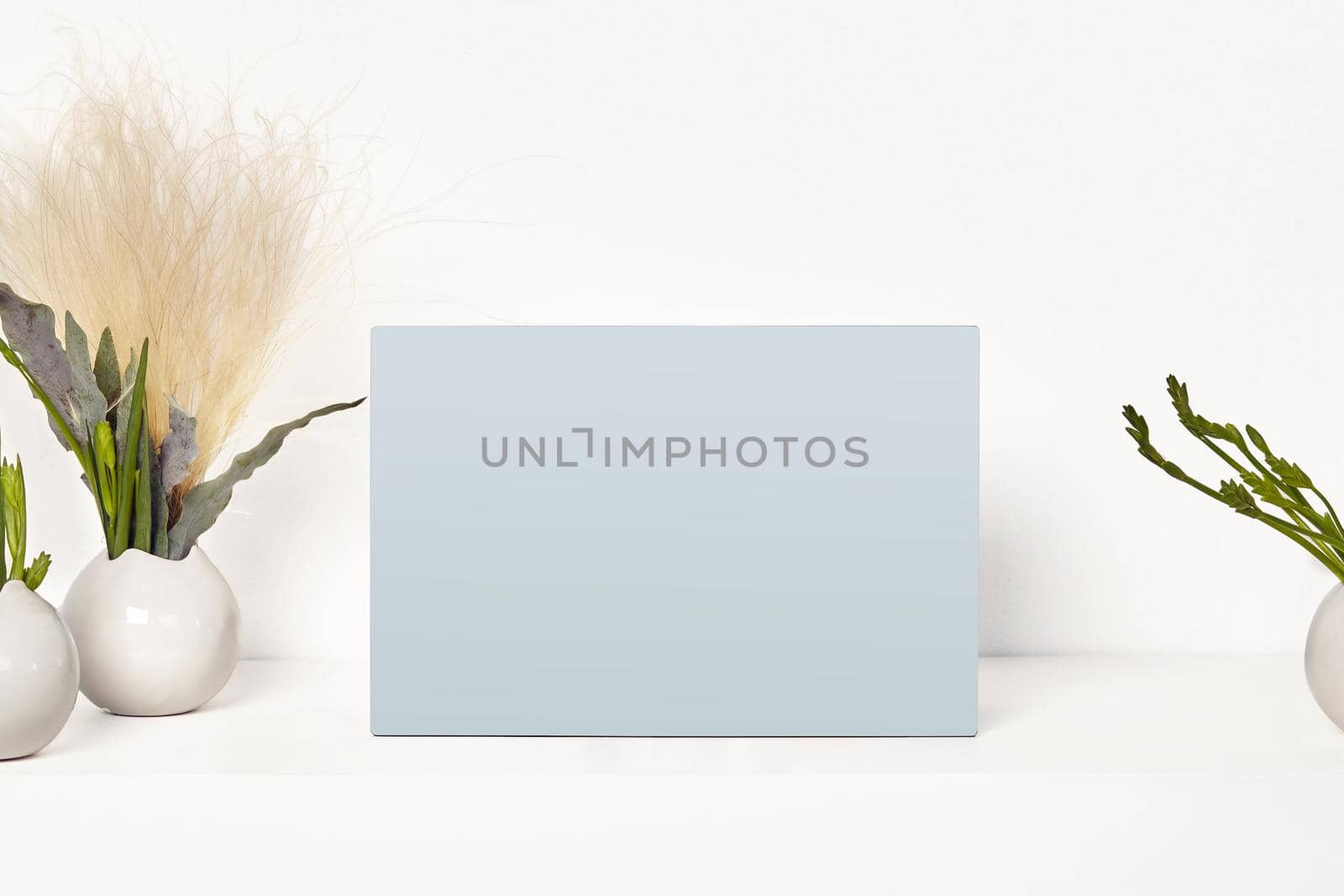 Empty blank mock up on tabletop surrounded by vases with green plants or flowers, isolated on white. Close up, copy space for your text or images. Branding area, decor