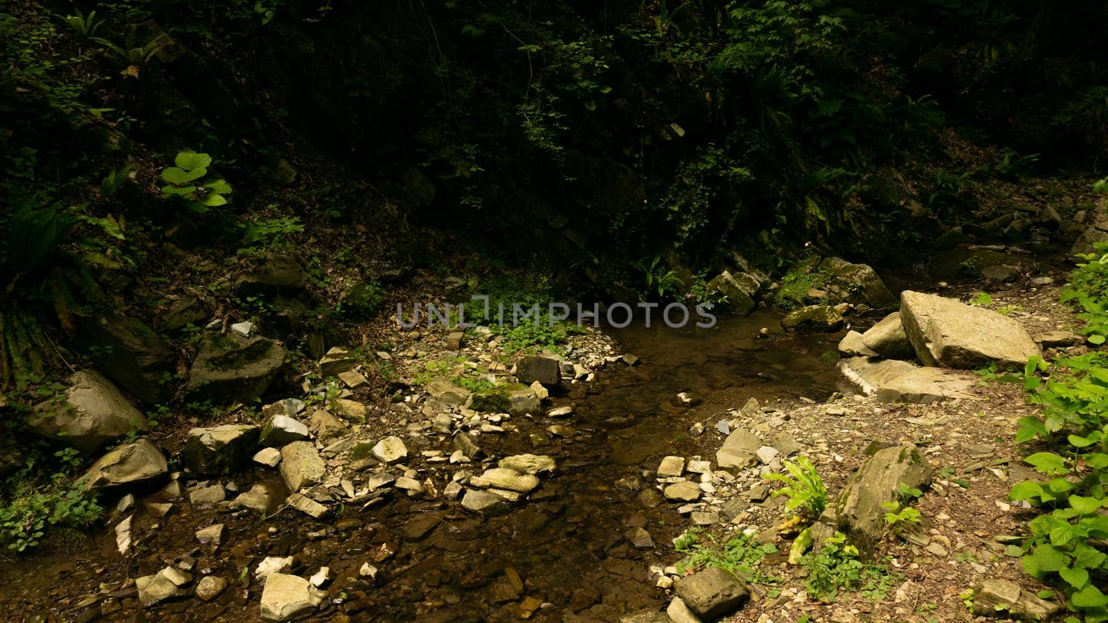 Mountain river among large stones in a green forest. Sochi, Lazarevskoe, Berendeevo Tsarstvo, Russia