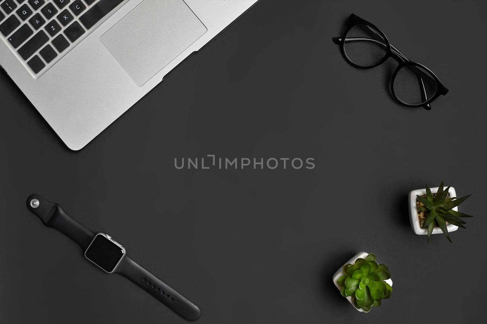 Metallic notebook or laptop, glasses, smartwatch and two green succulents in white pots on black studio background. Close up, copy space by nazarovsergey