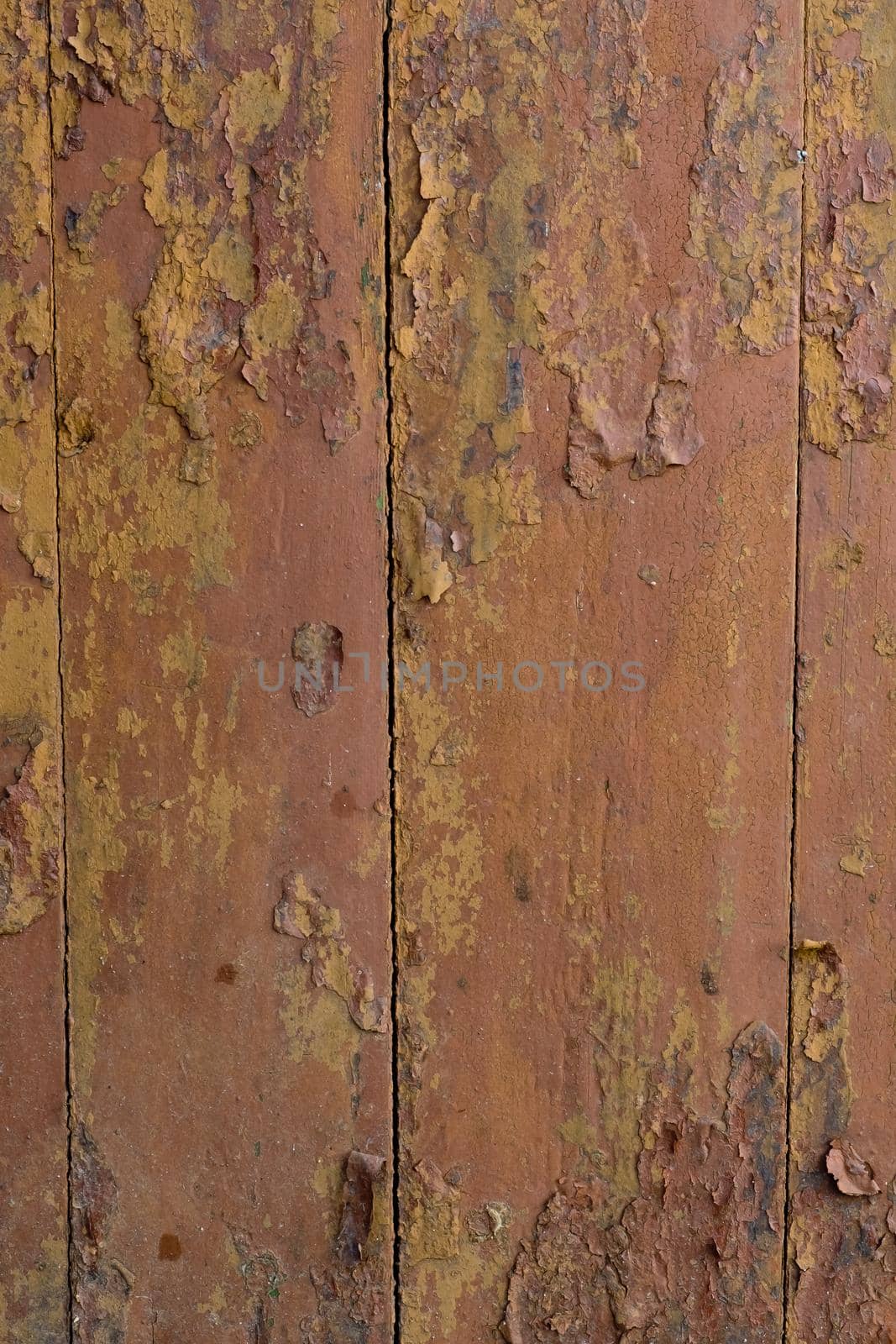 Old wooden vertical boards. Rustic style. Textured background. by leonik