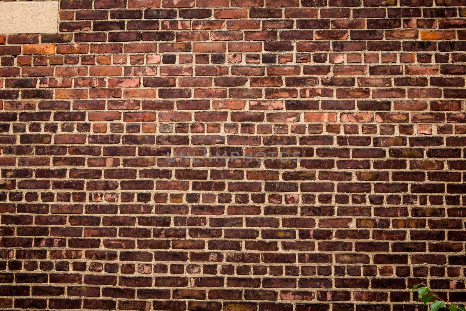 Brick wall by Iko