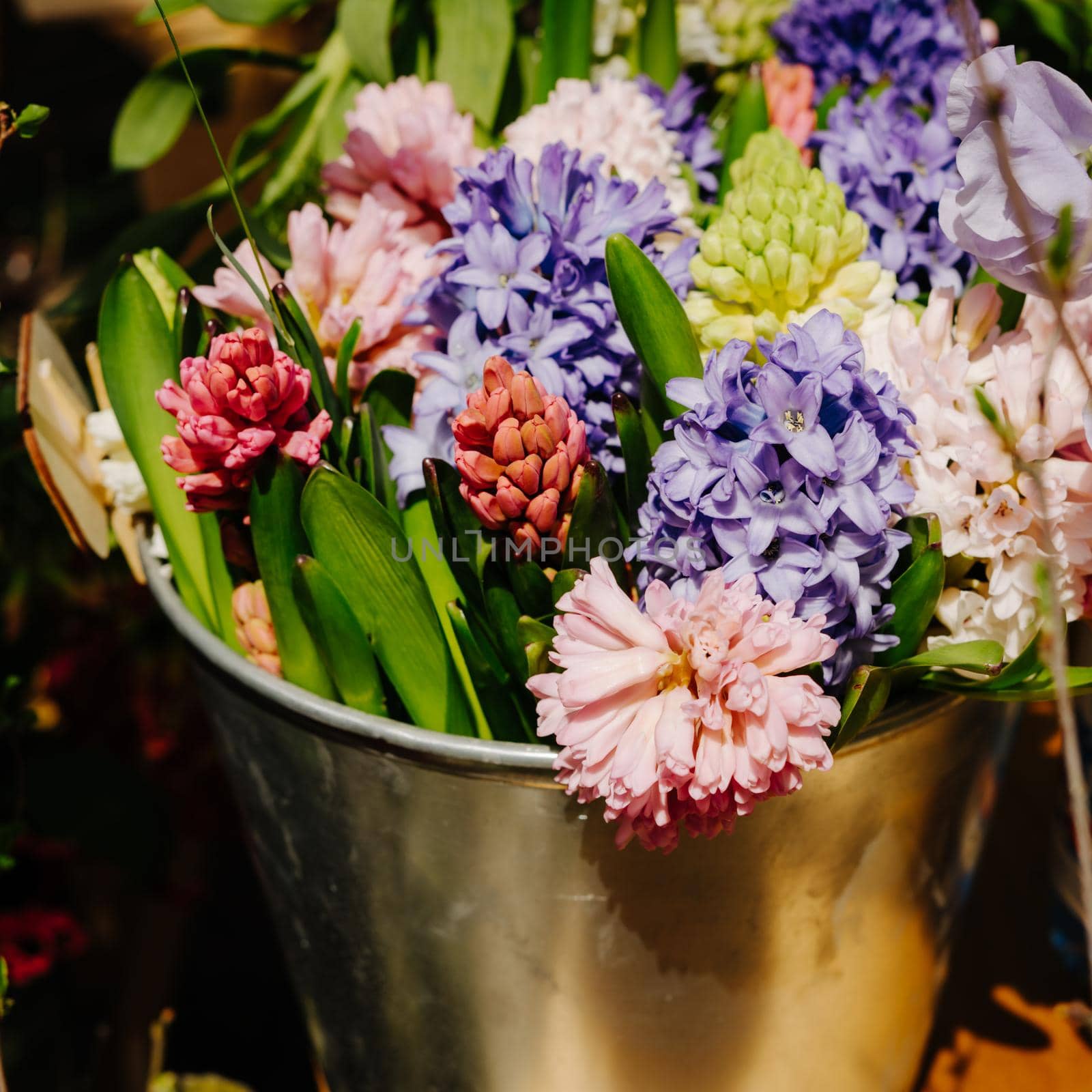 Bouquet of hyacinthus and lathyrus odoratus. Flower shop. by Rodnova