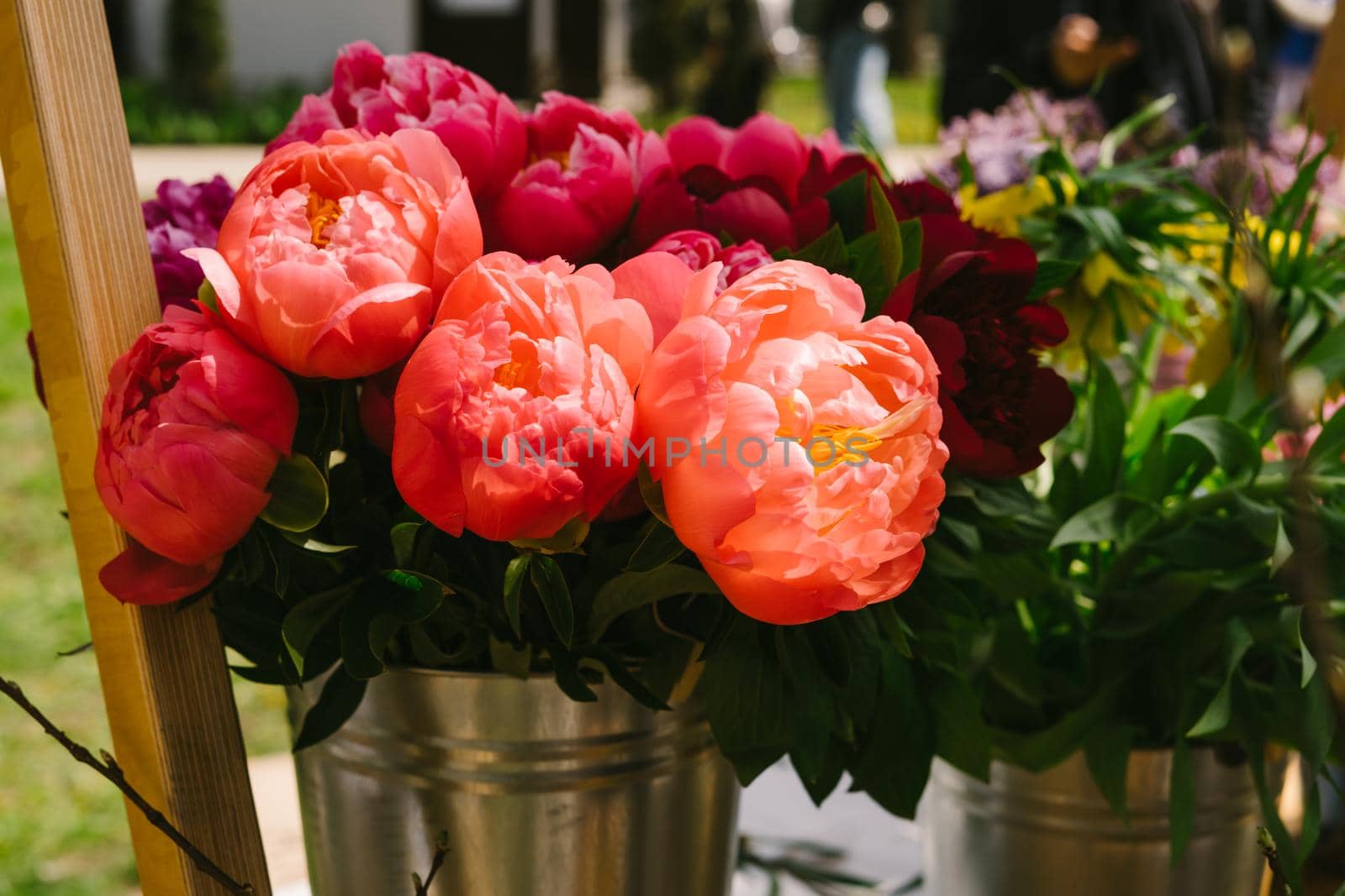 Sale of beautiful peonies. Pink and orange peonies. A vertical image. Flower market. Bouquet of flowers.