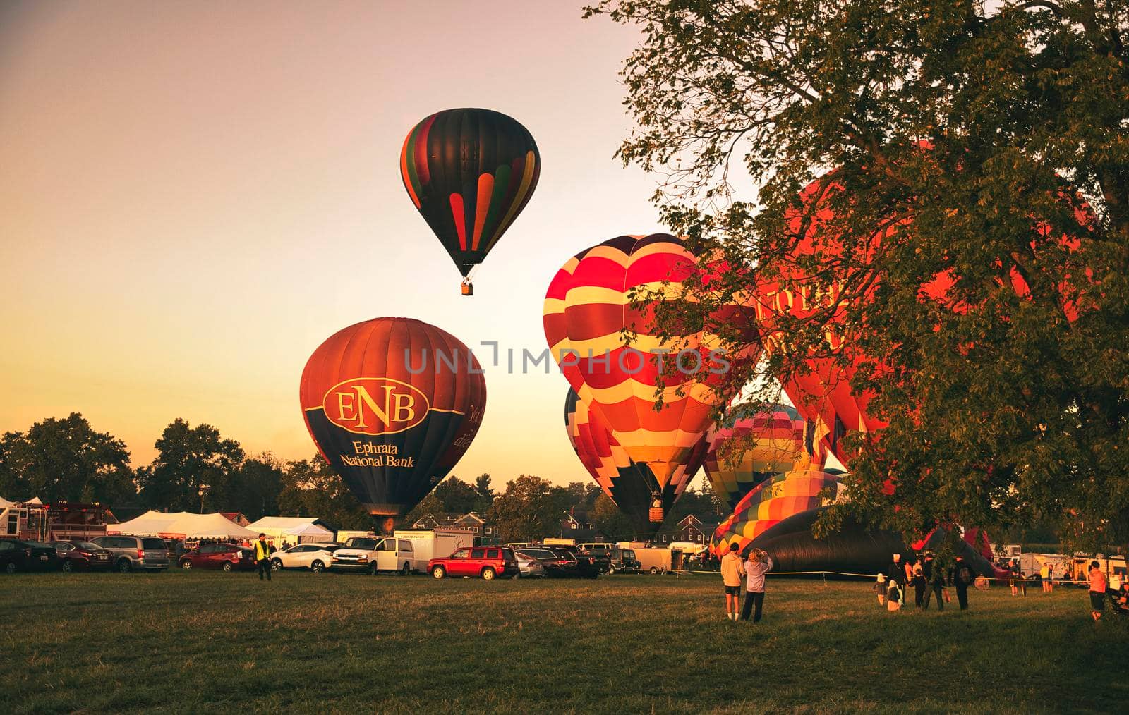 View of Many Hot Air Balloons Getting Ready to Take Off On An Early Morning Balloon Festival