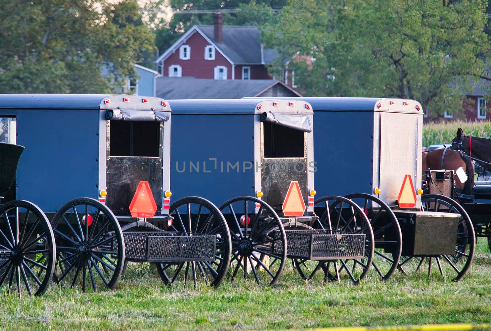 Row of Amish Carriages and Buggies at a Lancaster PA Event on a Cloudy Day