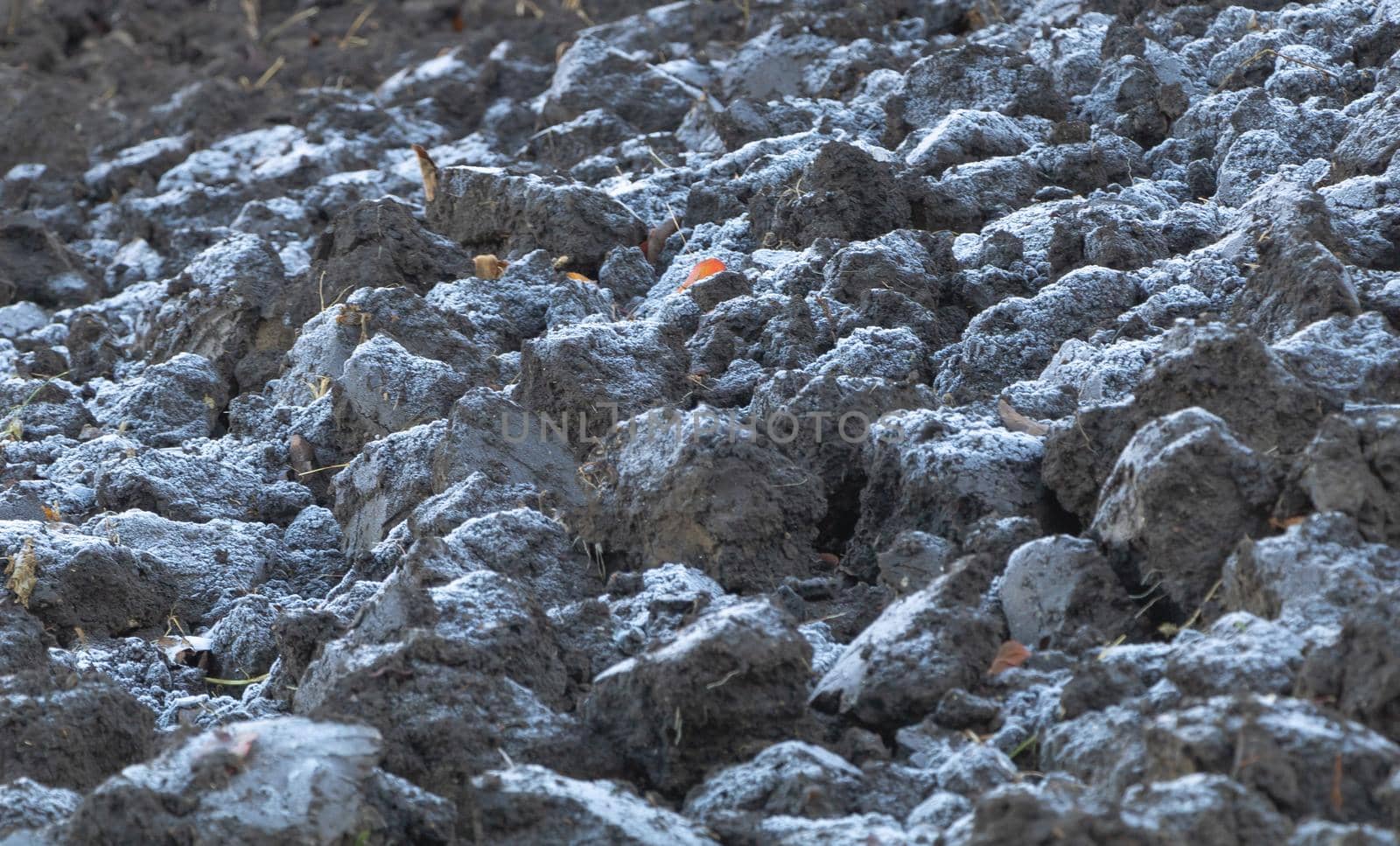 Close up shot of plowed land a thin layer of frost on it.