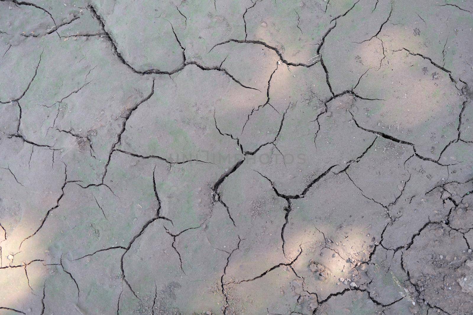 Sun beams on dry cracked gray ground, close-up. Soil erosion, drought, poor ecology, lack of rainfall