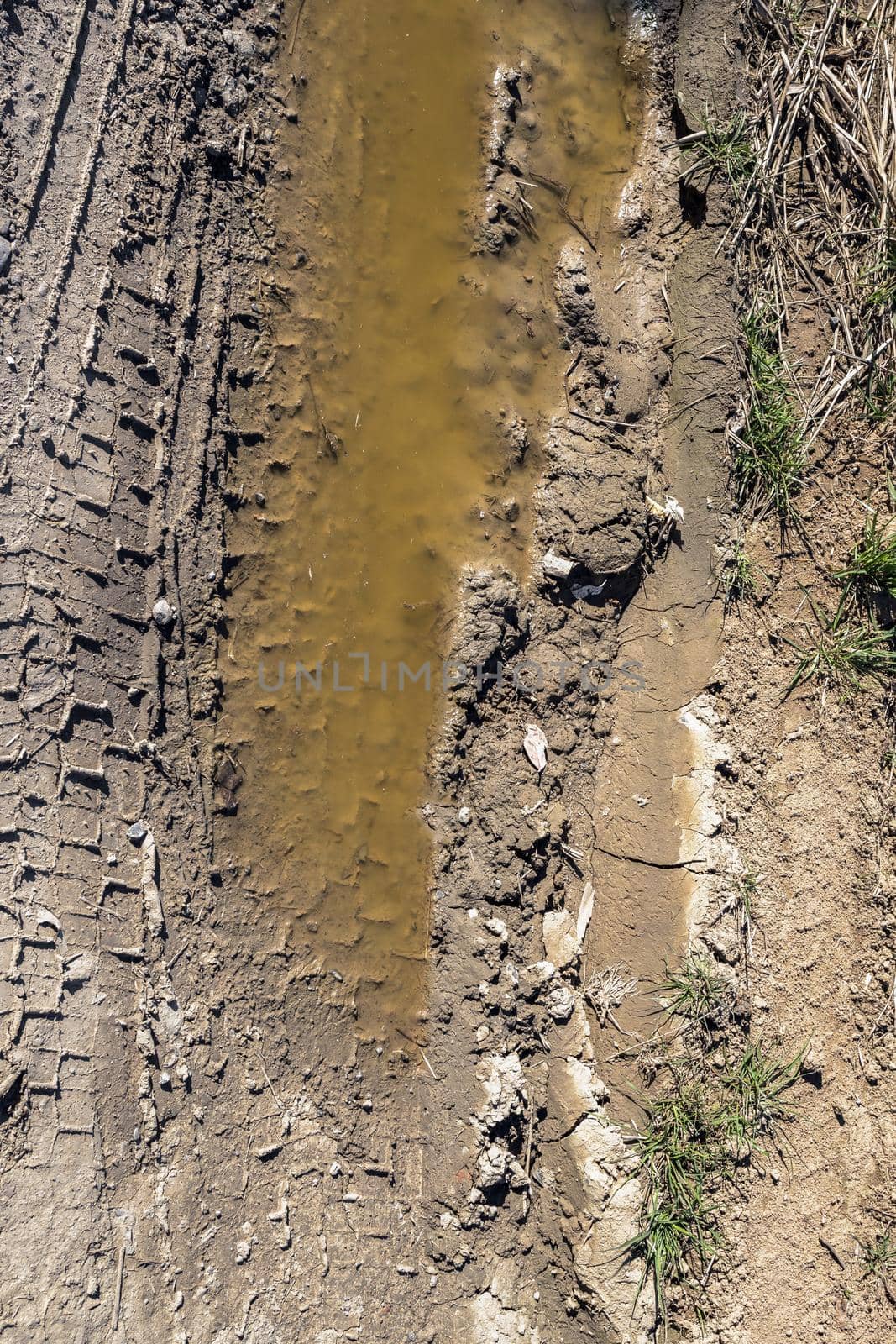 Tire tracks on a muddy road in the countryside. Puddles in the pits of a country dirt road.