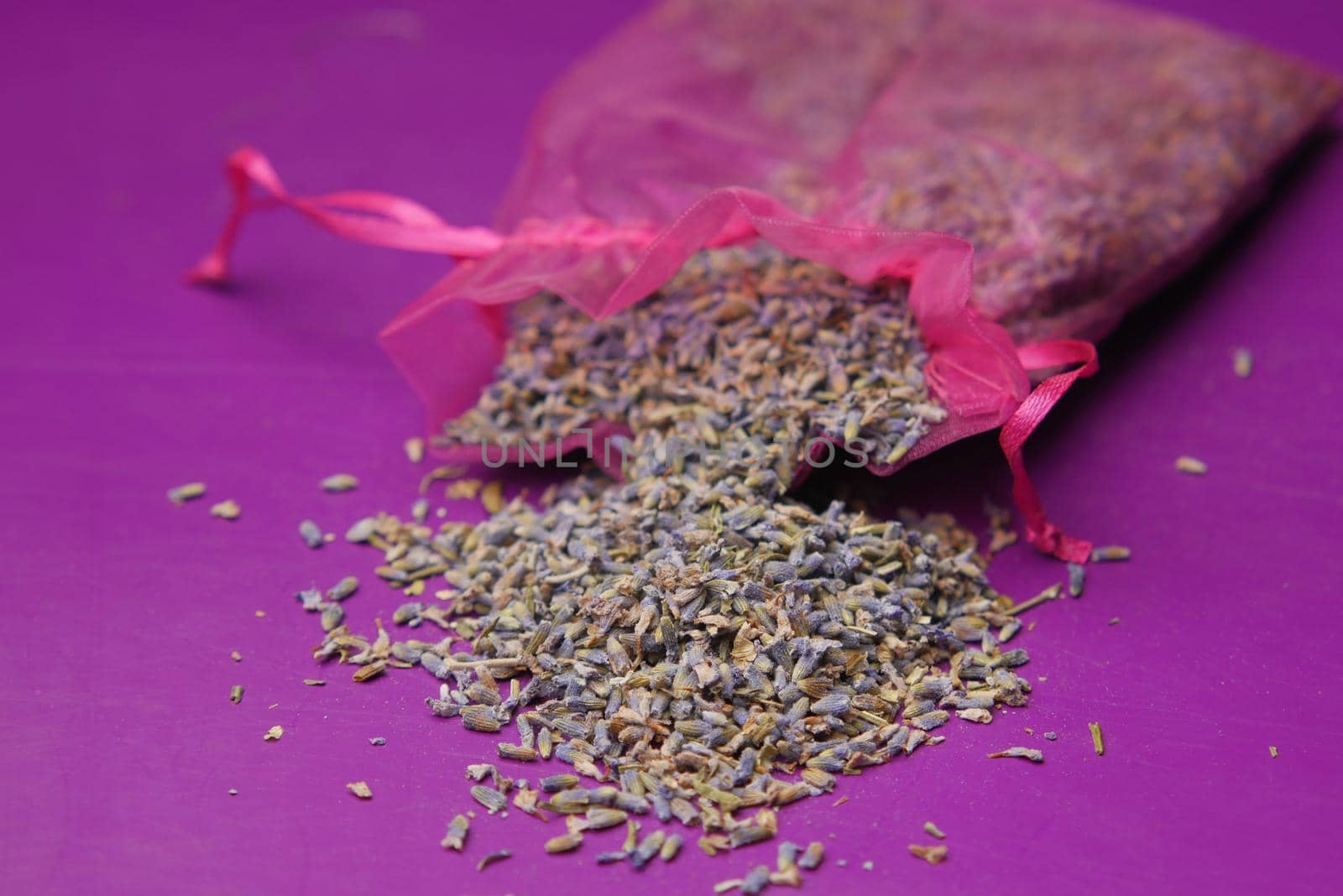 lavender dry leaf on purple background .