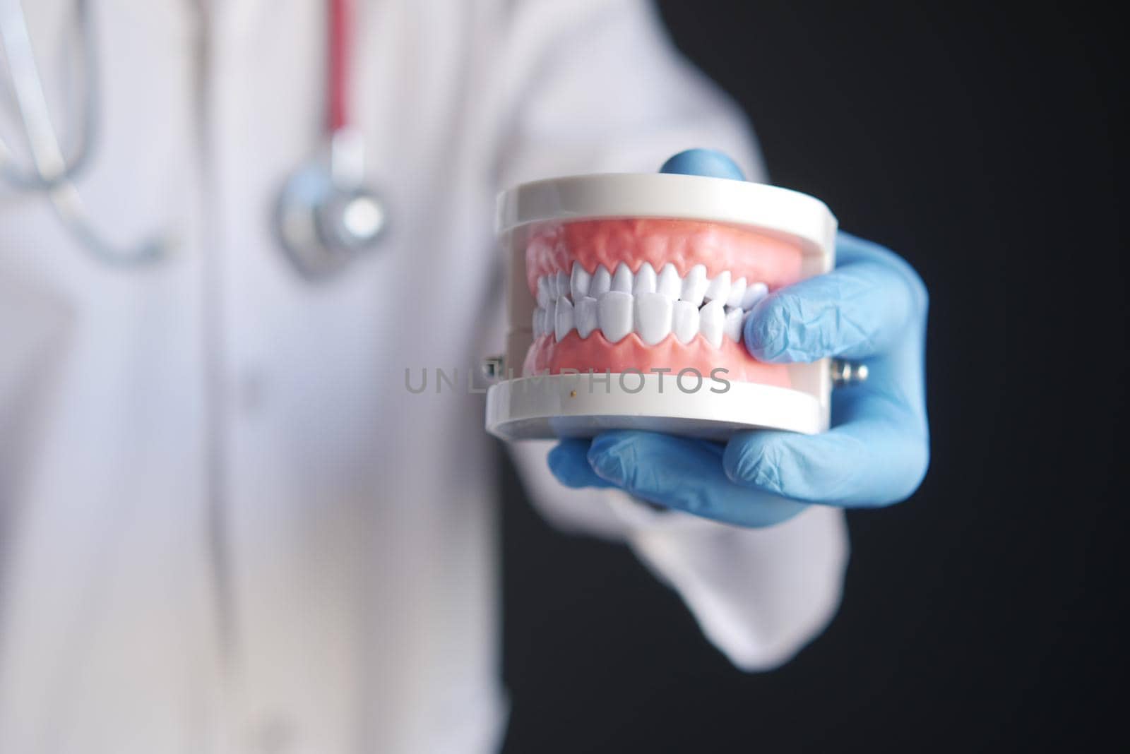 doctor hand holding plastic dental teeth model on table .