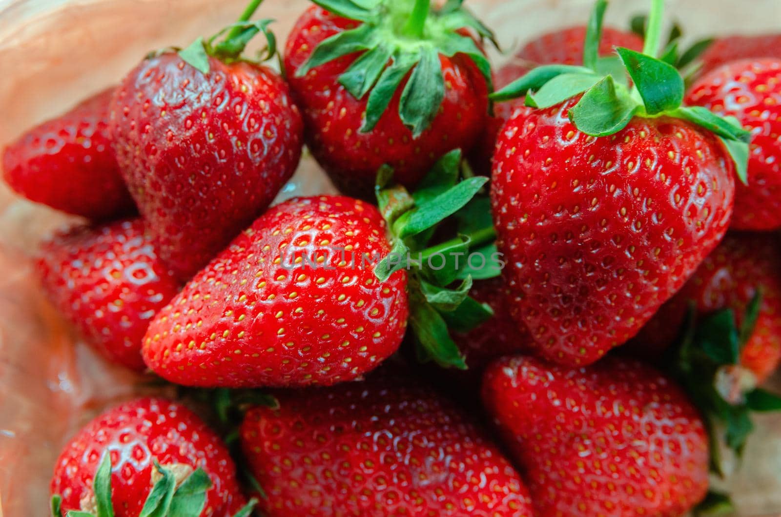 Lots of red ripe strawberry close-up