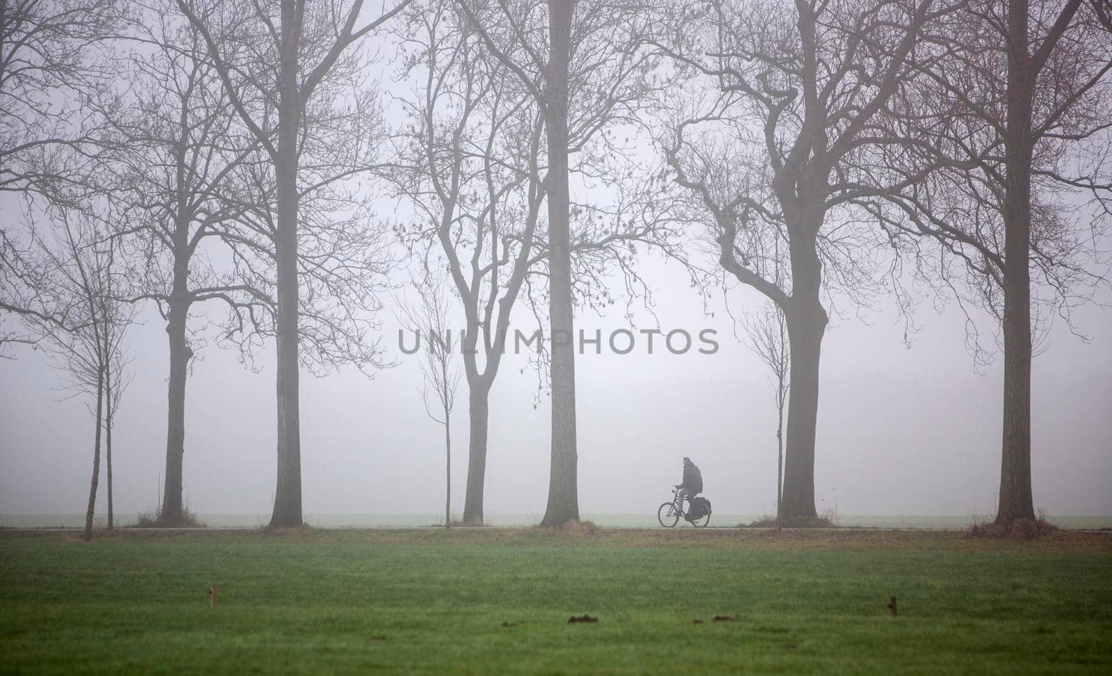 silhouette of lonely bicycole and bare winter trees along country road in the netherlands by ahavelaar