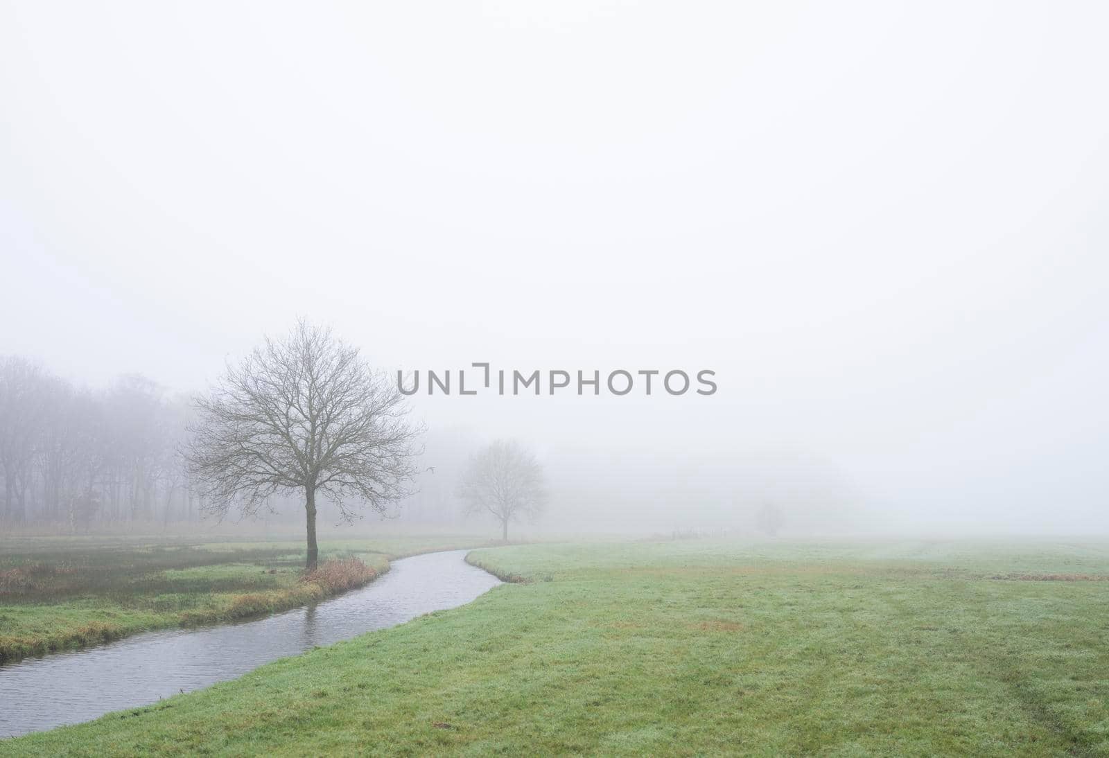 trees along canal near forest in dutch province of utrecht on misty winter day by ahavelaar