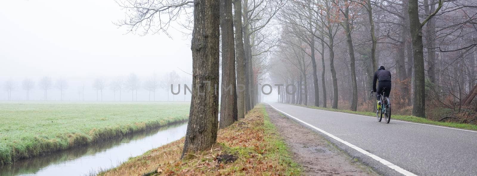 man rides bike on country road on misty winter morning in the netherlands near utrecht by ahavelaar