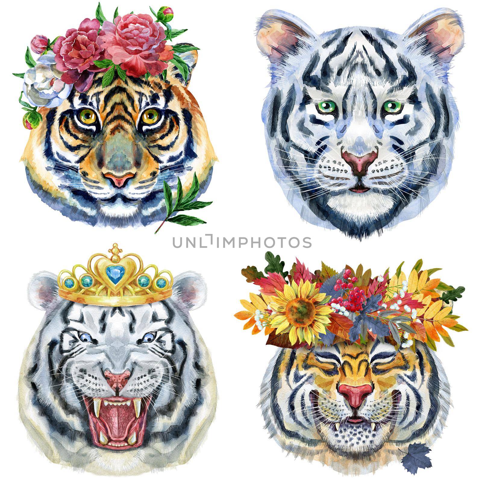 Watercolor illustration of tigers in wreaths of autumn leaves, peonies and a golden crown