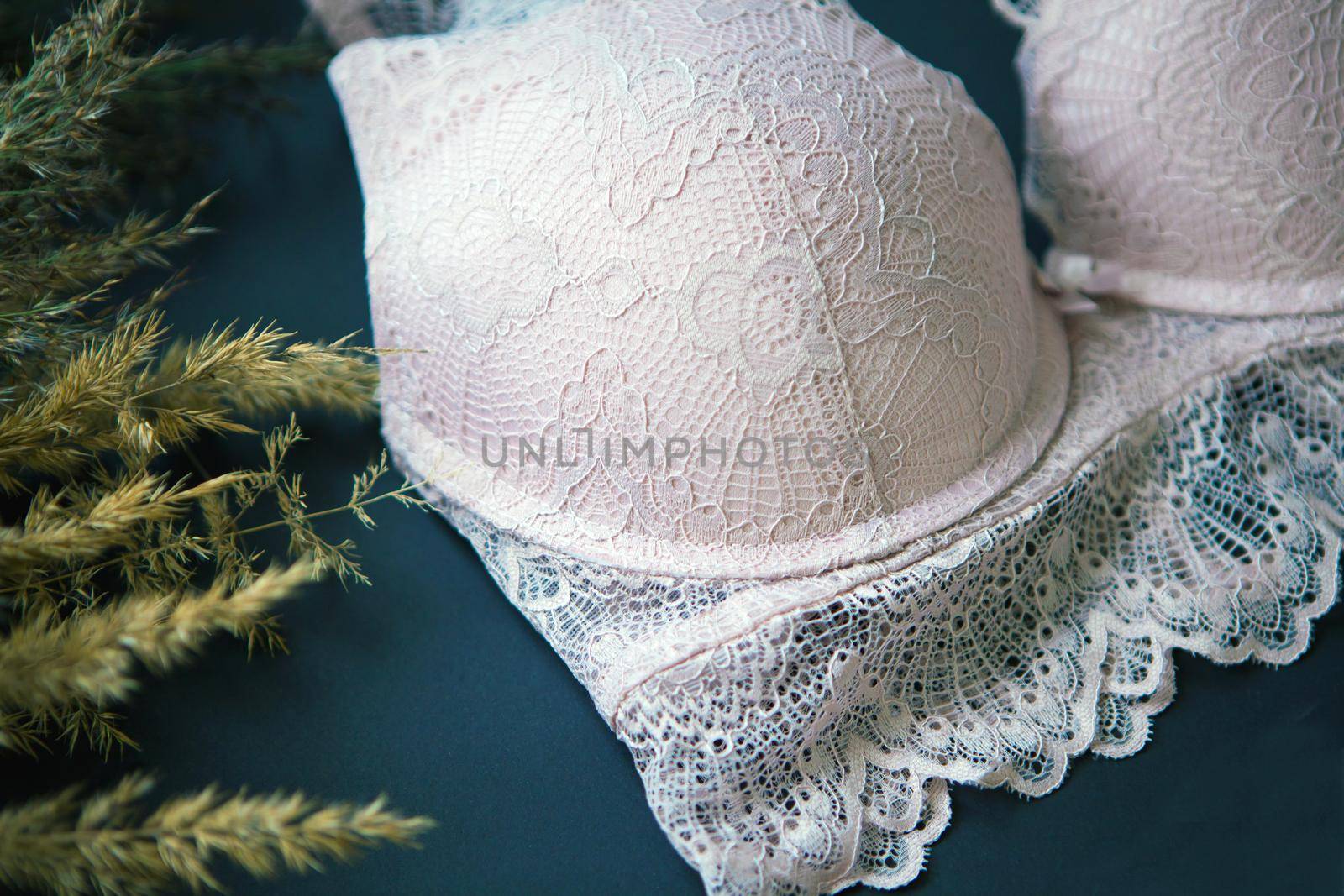 Cotton pink bra lace. Womens lingerie close up on black background near pampas grass. fashionable underwear. Natural soft fabric