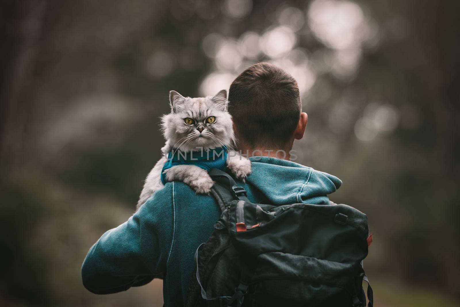 Hiking with cat. Cat sitting on the shoulder. Walking the cat. People and pets. Human and animal. Human and pet love by DariaKulkova