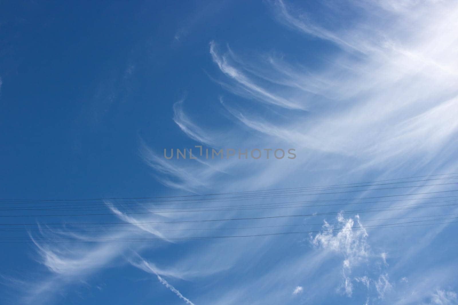 Beautiful sky background. Unusual cirrus clouds in the blue sky. by lapushka62