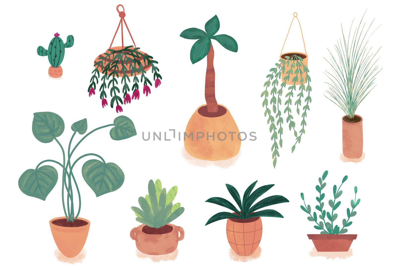 Plant in pot illustration set, indoor potted decorative house plants for interior home or office decoration. Hygge and scandinavian design plants in pots