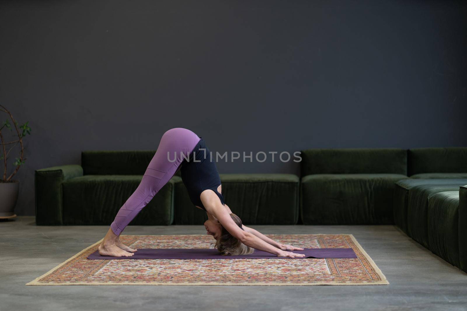 Dog Pose, Yoga. Lovely woman doing a stretch at a morning class in an apartment in megapolis. Concept of caring for body in an urban setting. High quality photo