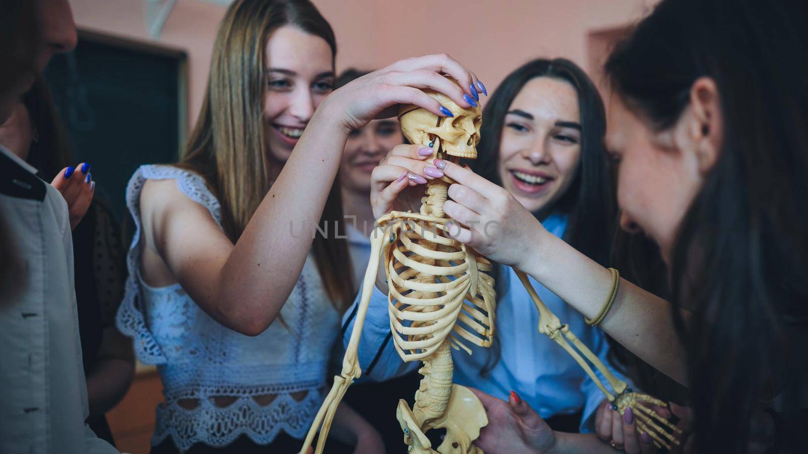 Cheerful students examine the human skeleton in the classroom. by DovidPro