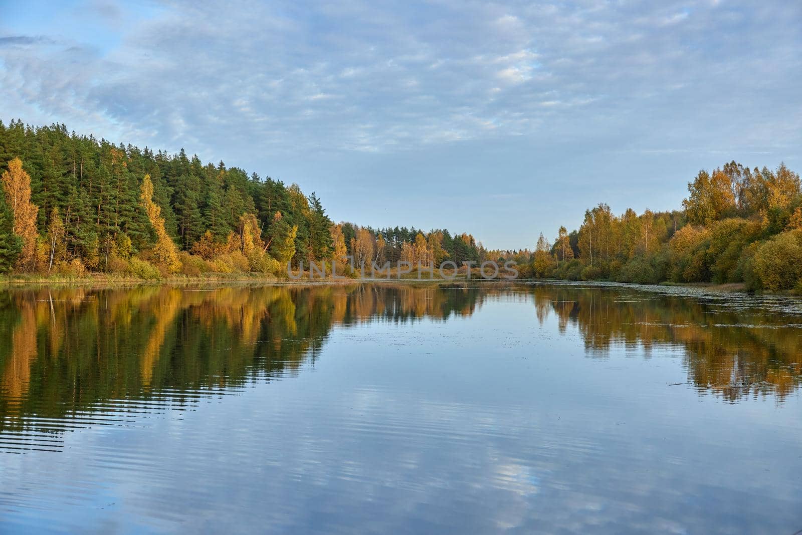 Picturesque reflection in lake during autumn. High quality by diczman