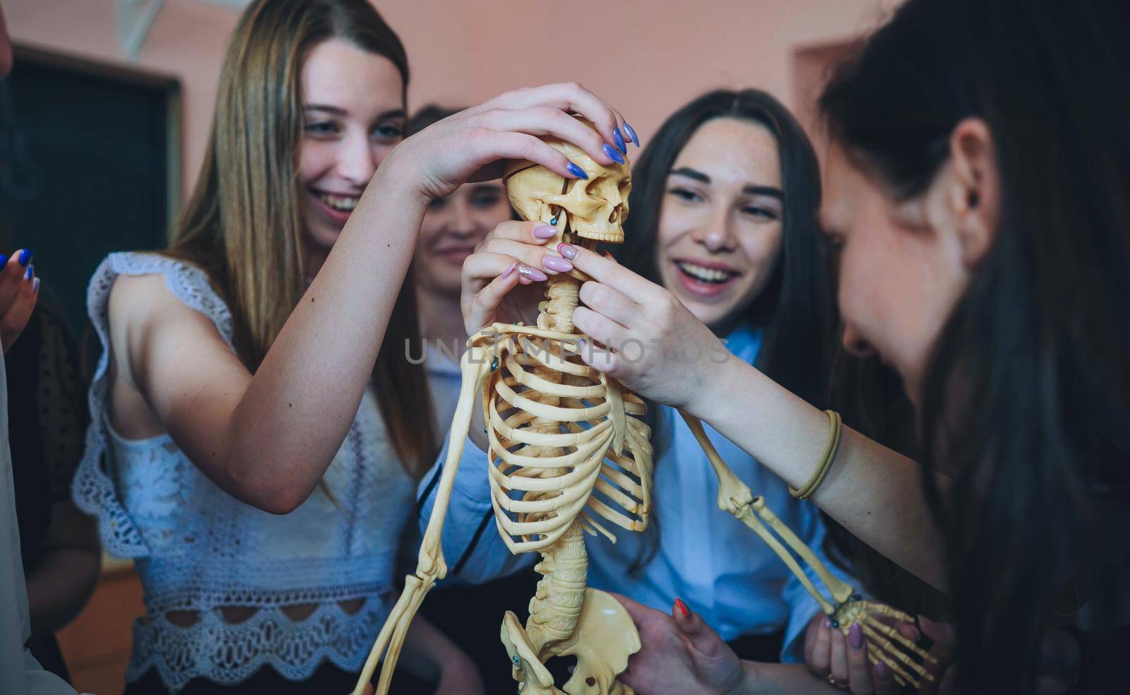 Cheerful students examine the human skeleton in the classroom. by DovidPro