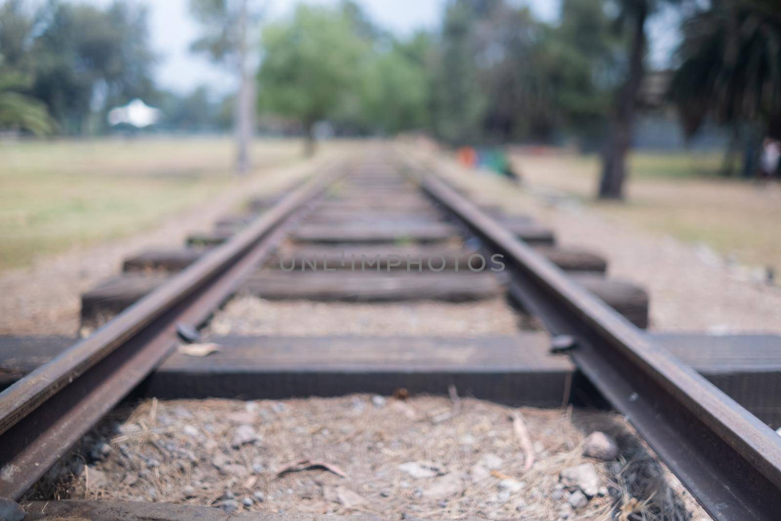 Old railway lines surrounded by dry grass and with blurry trees as background. Peaceful view of aged railroad with park in the distance. Transportation and rail tracks