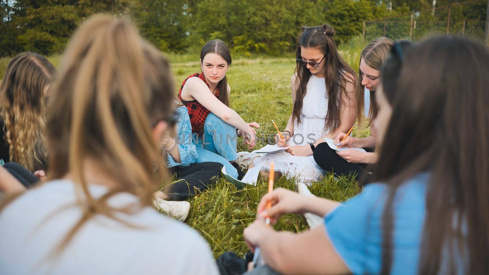 A group of female students are sitting in a circle on a meadow for collective work with notebooks. by DovidPro