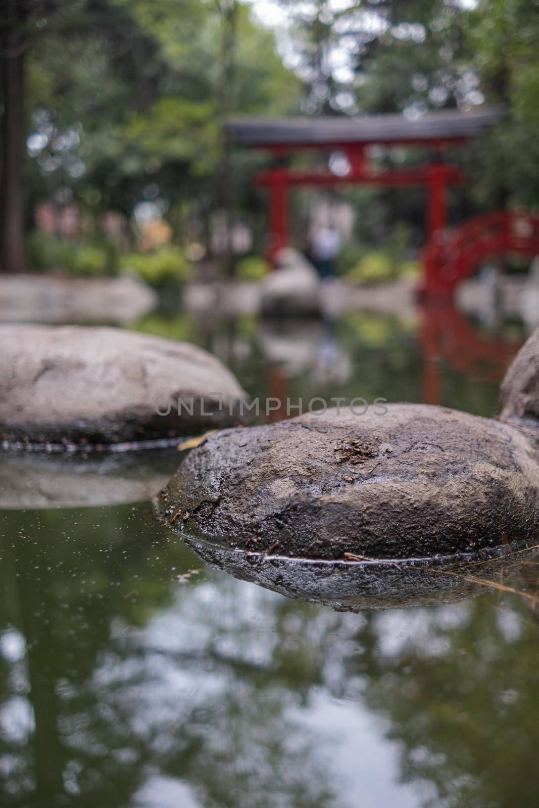 Stepping stones path on pond with blurry trees and traditional Japanese gate as background. Greenish water and authentic red Asian structure in Masayoshi Ohira Park. Classic architecture and outdoors