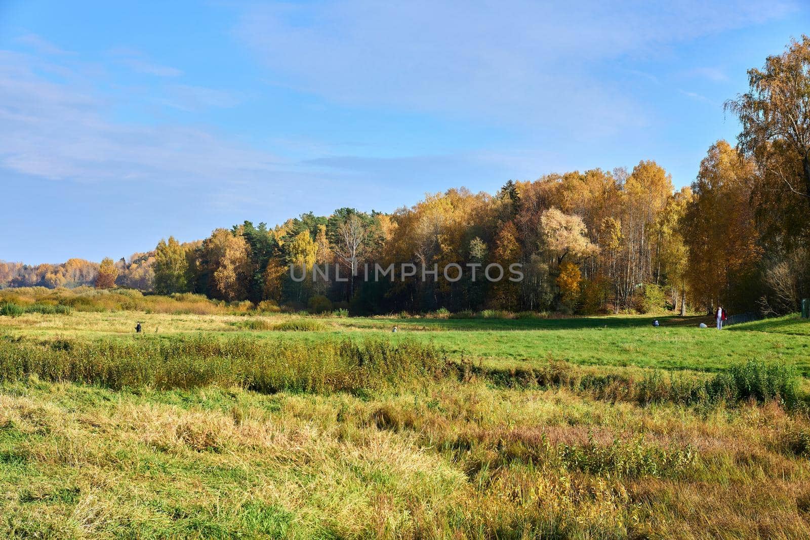 Stunning nature view in autumn. High quality photo