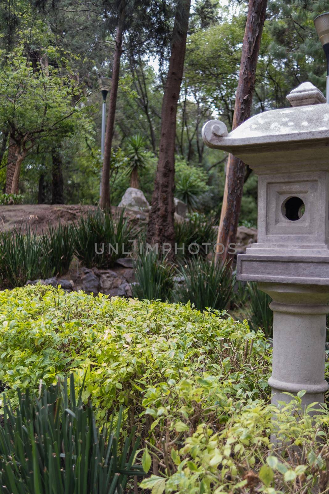 Traditional Japanese stone sculpture with trees and bushes as background. Authentic Asian stone bird feeder surrounded by vegetation in Masayoshi Ohira Park. Classic architecture and outdoors