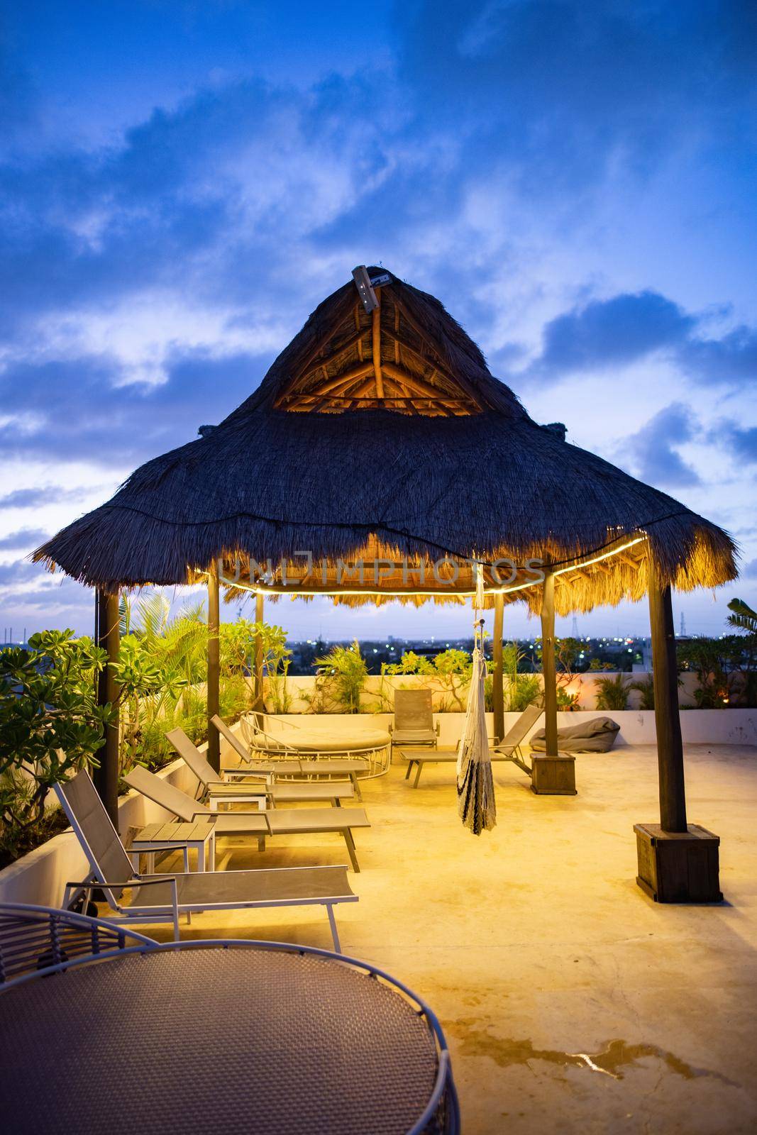 Astonishing view of beach beds and lighted palm pergola on hotel rooftop under beautiful dark blue sky. Peaceful dusk skyline above building with tropical plants and seats. Holiday landscapes