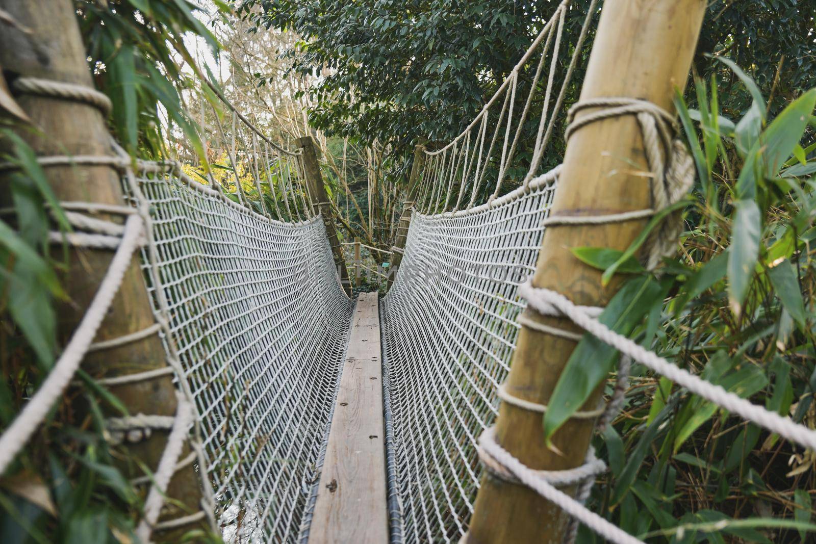 A suspended wooden bridge in the rainforest by Godi