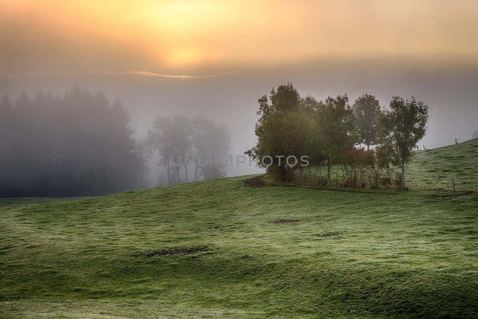 Beautiful autumn sunrise with a lot of mist seen in Bavaria, Germany