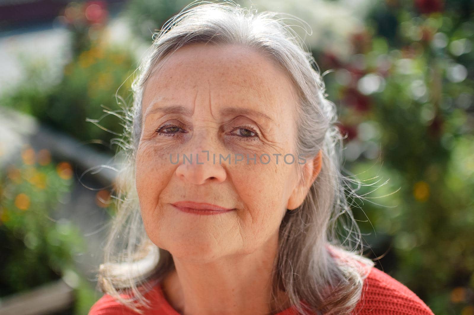 Portrait of a mature woman with grey hair spending time outdoors during sunny day, happy retirement.