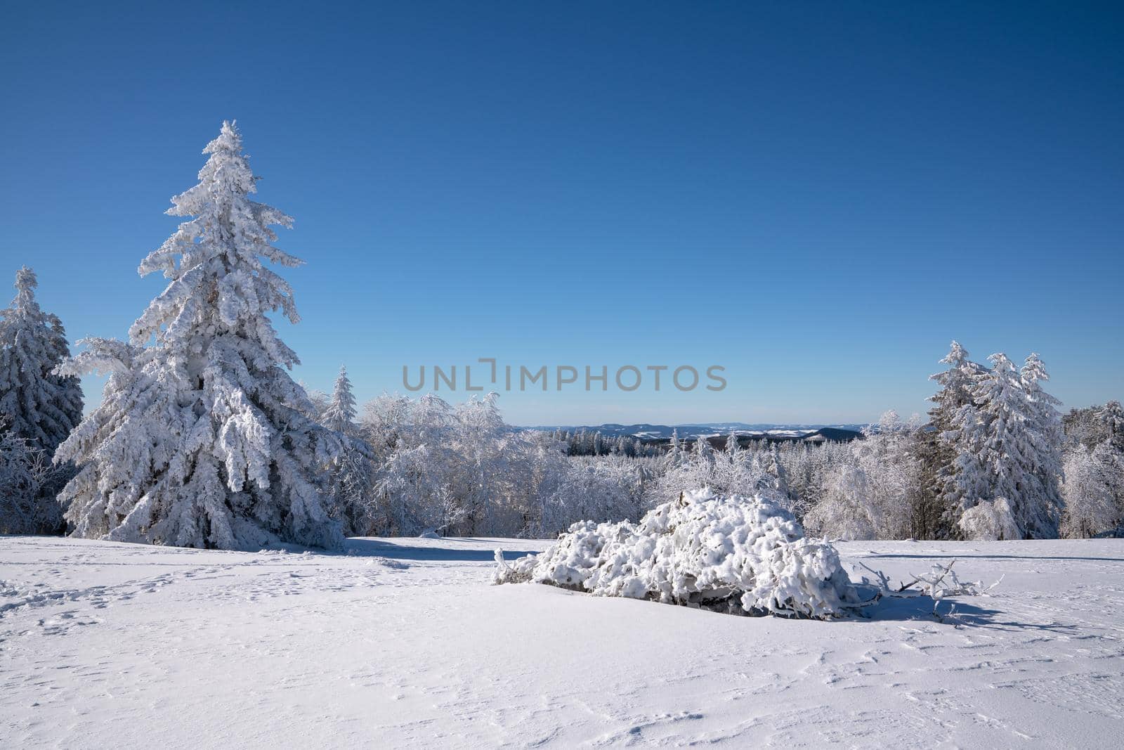 Panoramic landscape image of Kahler Asten during wintertime, Sauerland, Germany