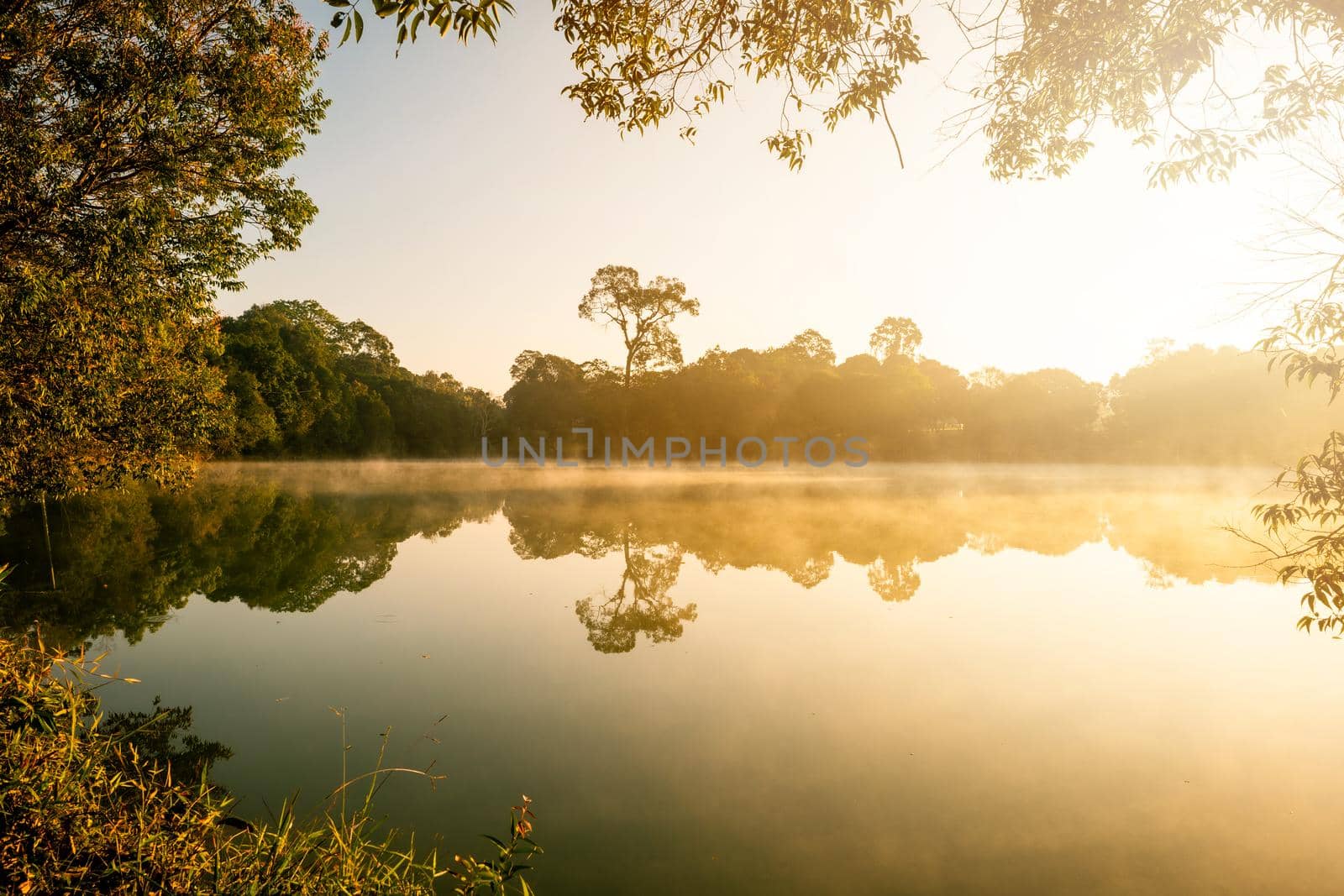 Morning fog lifts off a lake state sunrise on a cool September morning, beauty Autumnal landscape with threes on a coast