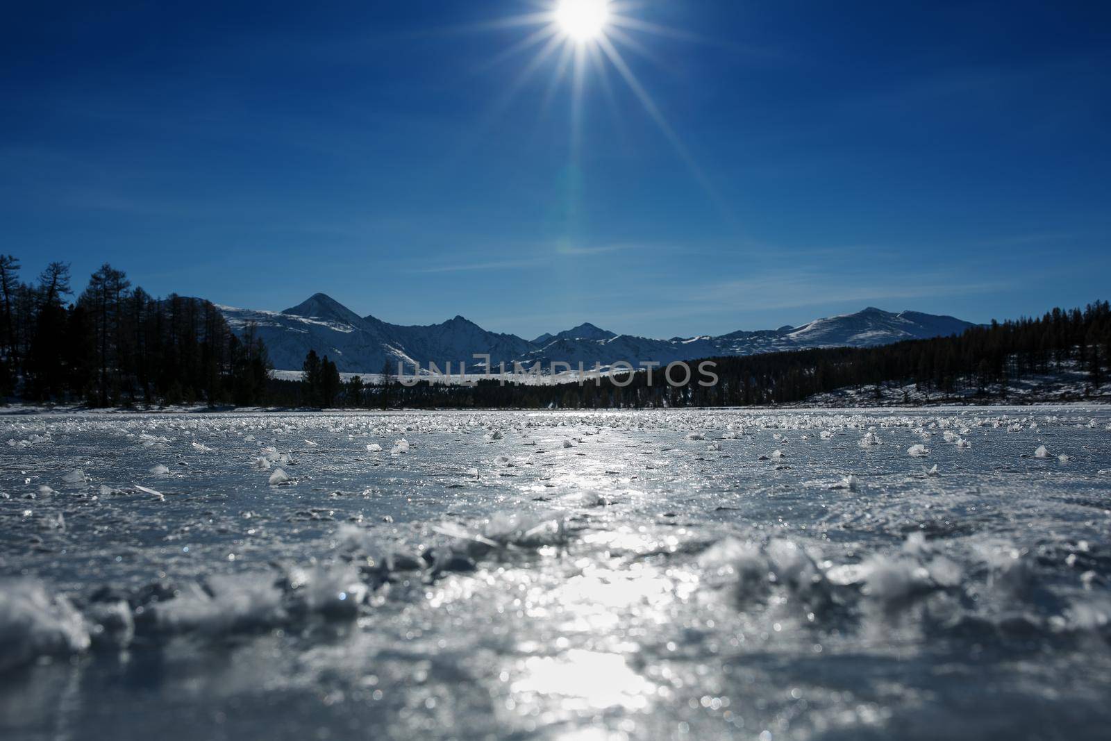 Panorama of frozen lakes, covered with ice and snow. In clear weather with a blue sky in the sunlight. Altai. by AlexGrec