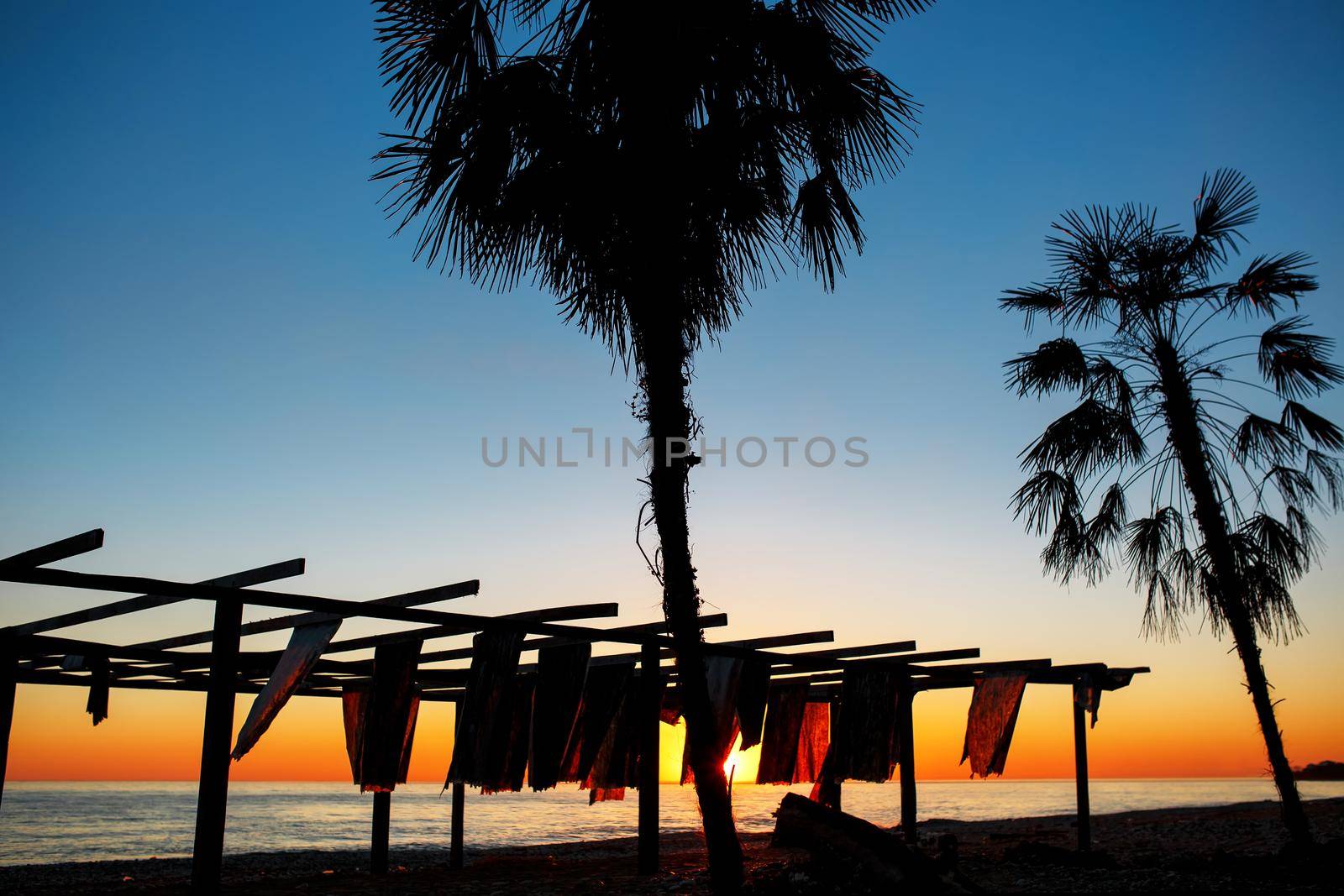 Silhouettes of palm trees by the sea on a sunset background. Beach by AlexGrec