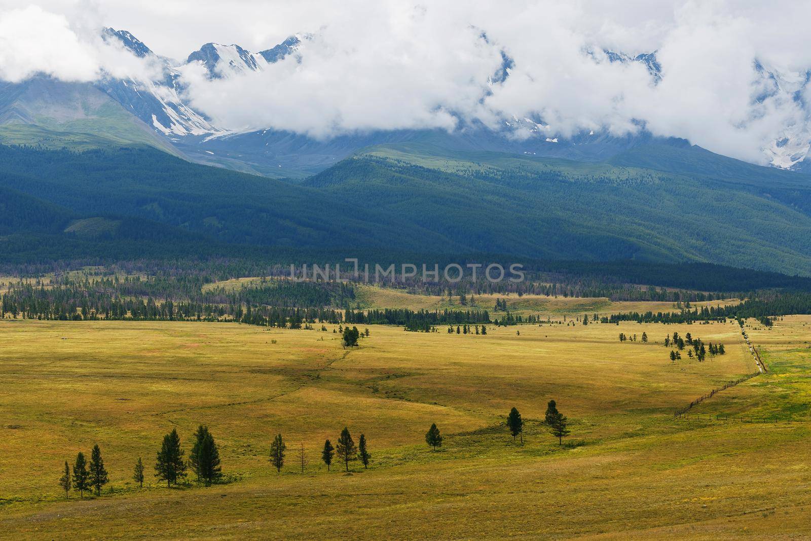 Scenic view of the snow-covered North-Chuya range in the Altai mountains in the summer, Siberia, Russia by AlexGrec